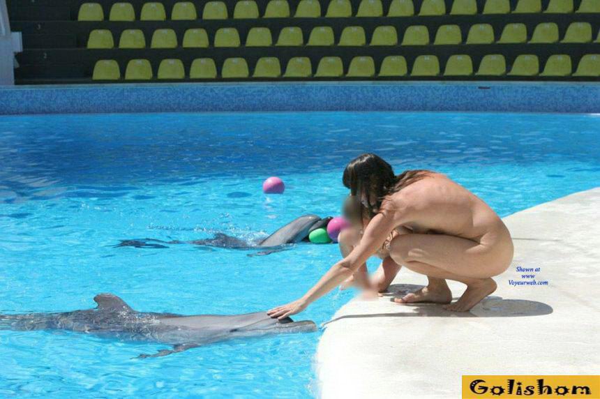 Нудисты и дельфины