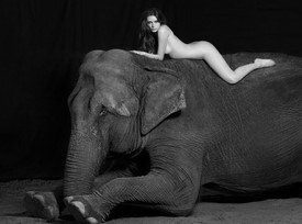 Vanessa Von Zitzewitz - Обнаженная девушка со слоном