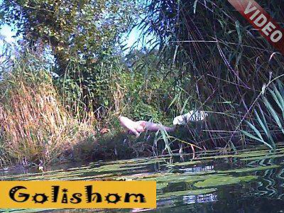Рыбак увидел одинокую нудистку в кустах - видео